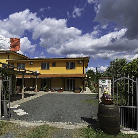 Albergo Luisss Grosseto Exterior photo